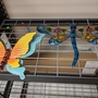 butterfly_dragonfly.jpg